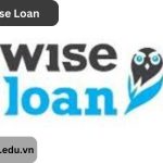 Wise loan